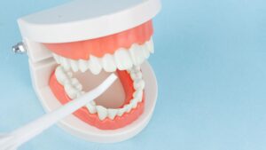 How to Prevent Cavities and Maintain Optimal Oral Health